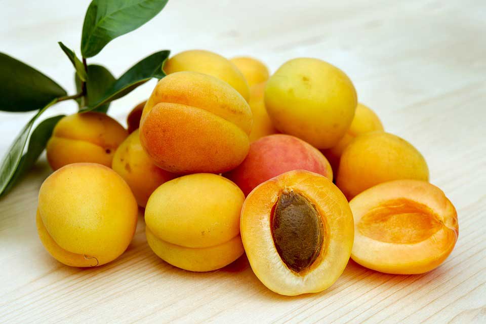 مصرف میوه طلایی تابستان را فراموش نکنید