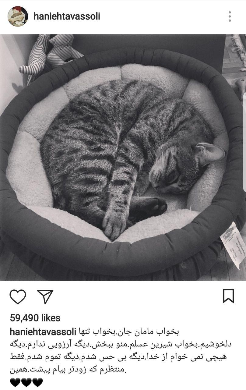 واکنش کاربران به عکس‌العمل عجیب «هانیه توسلی» به مرگ گربه‌اش